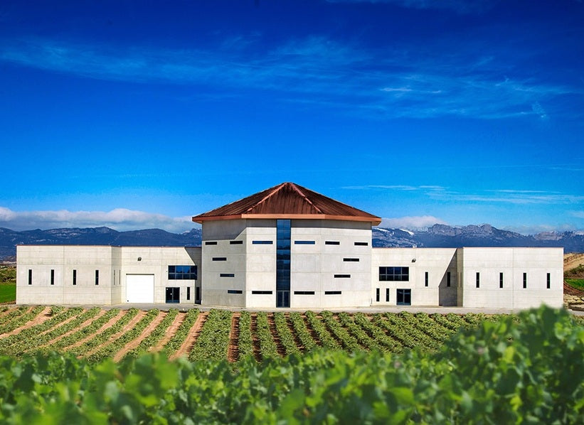 BORNOS Vinos y Licores winery and vineyard estate in Spain