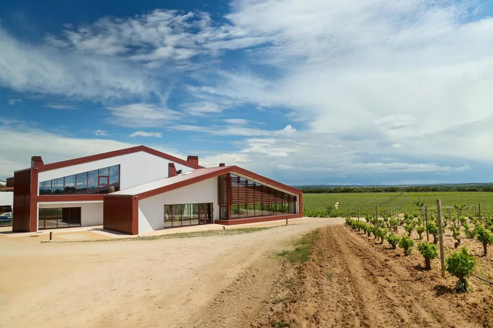 Bosque de Matasnos winery and vineyards in Ribera del Duero, Spain