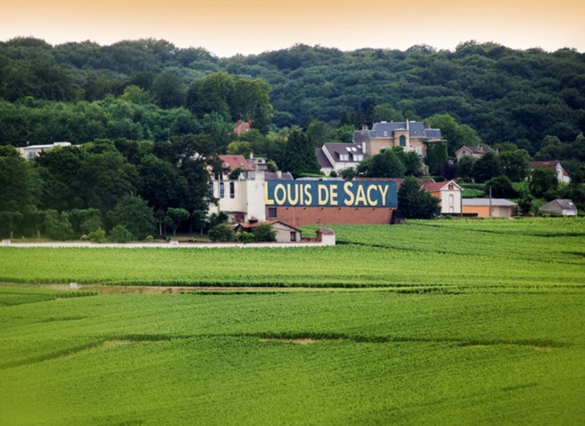 Champagne Louis de Sacy in Verzy, Montagne de Reims