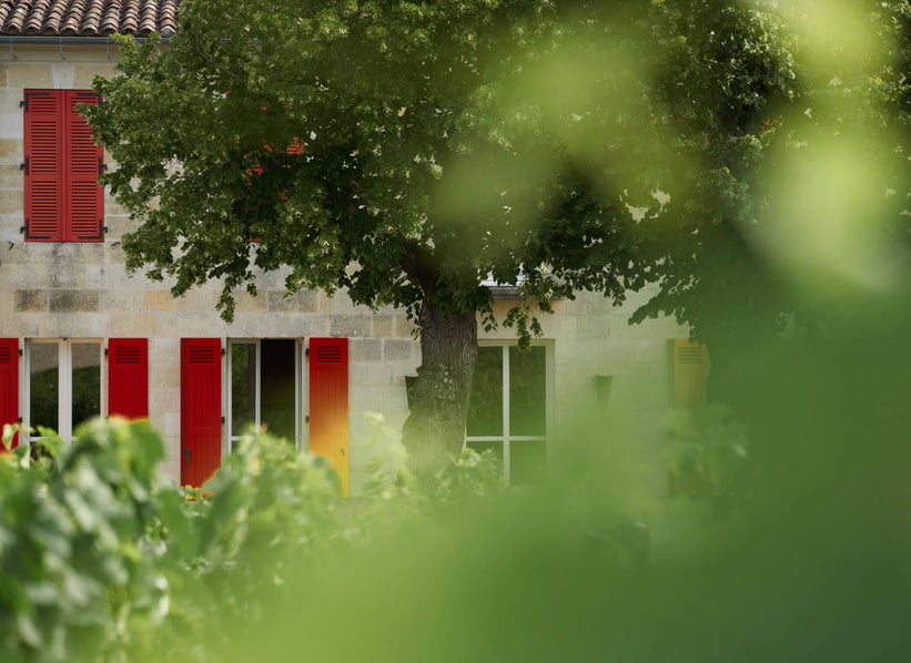 Château Clinet estate and vineyard in Pomerol