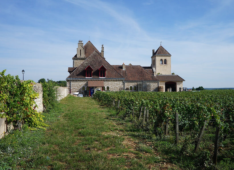 Château de la Tour and vineyards inside Clos de Vougeot, Burgundy
