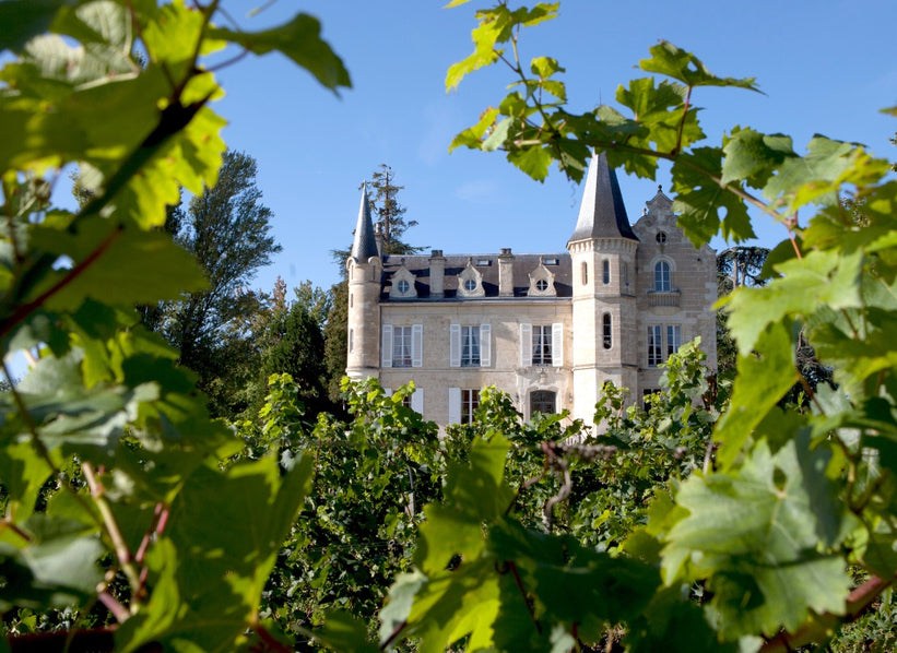 Château Haut-Bergey estate framed by vineyards in Léognan, Bordeaux