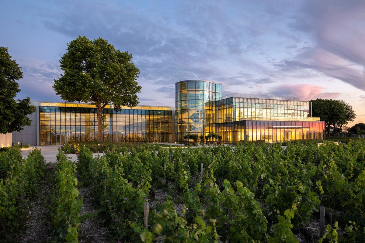 Château Lynch-Bages winery and vineyards in Pauillac — architecture by PEI Architects