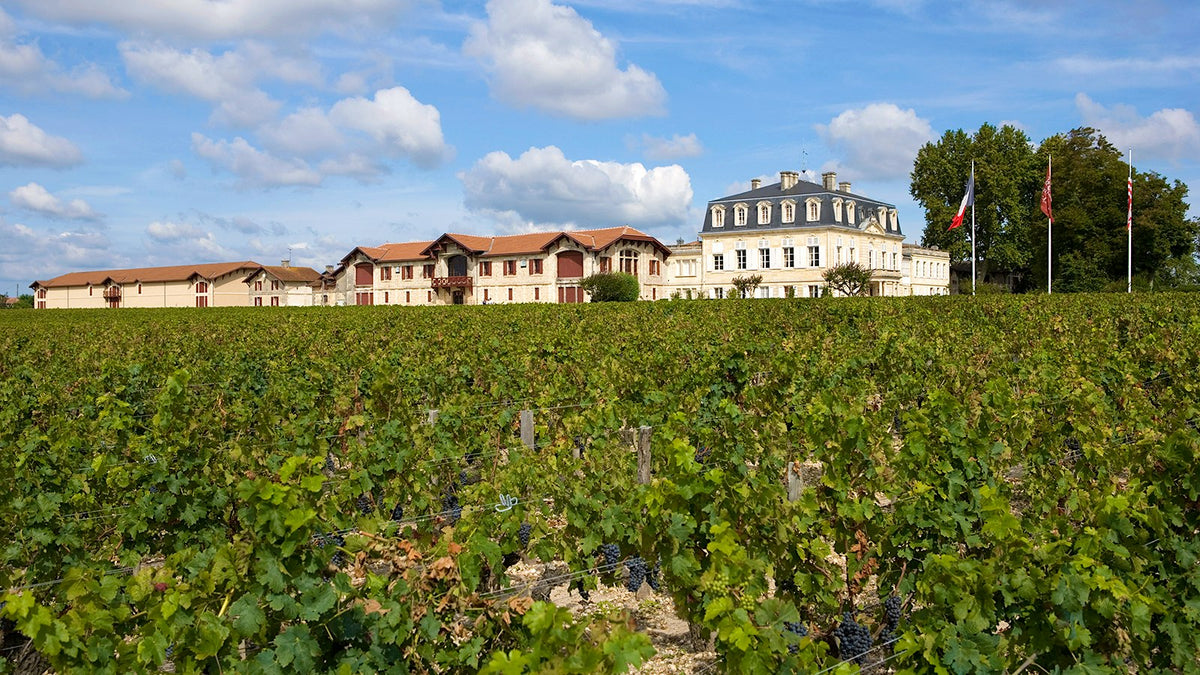 Château Pontet-Canet and vineyards in Pauillac — photograph via Wine Spectator