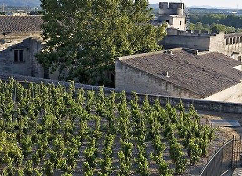Clos des Papes vineyards and estate in Châteauneuf-du-Pape, Rhône