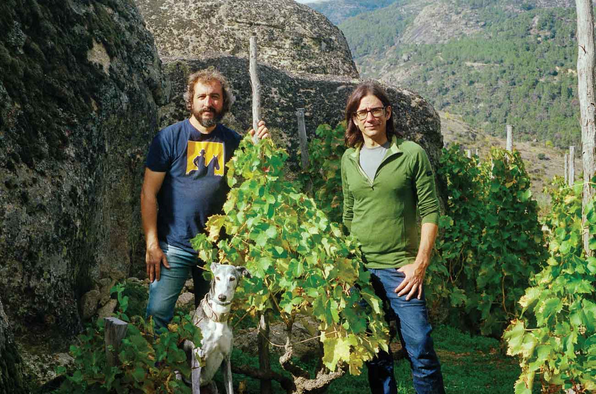 Comando G founders Daniel Landi and Fernando García with Garnacha vines in the Sierra de Gredos, Spain