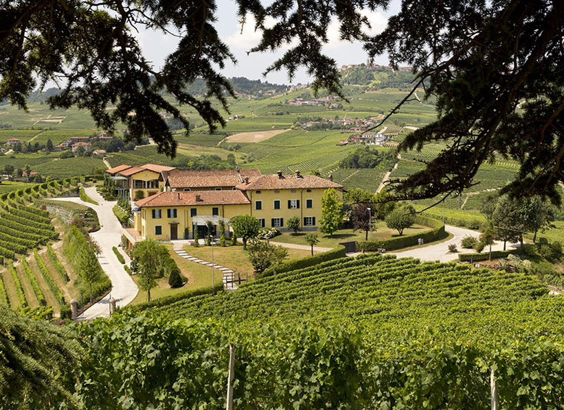Cordero di Montezemolo estate and vineyards in La Morra, Piedmont