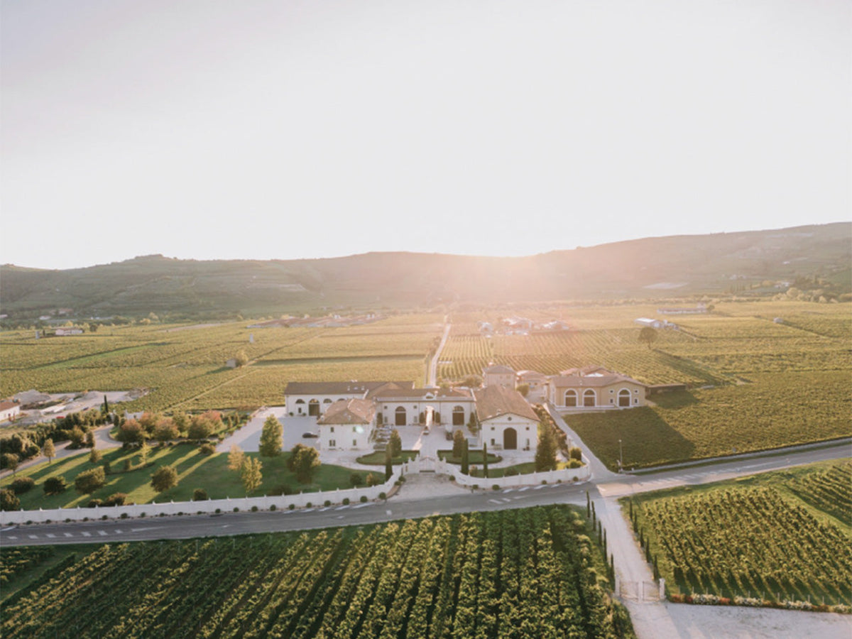 Dal Forno Romano estate and vineyards in Val d’Illasi, Veneto — image courtesy of Dal Forno Romano
