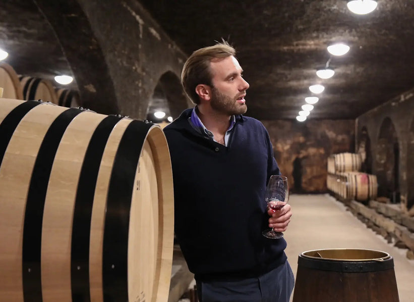 Domaine Alain Hudelot-Noëllat cellar in Burgundy