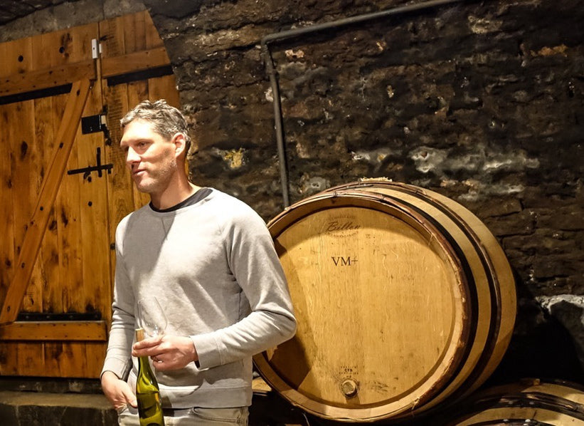 Domaine Antoine Jobard cellar in Meursault, Burgundy