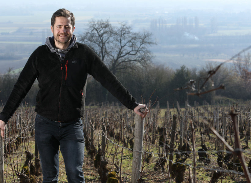 Domaine Ballot-Millot vineyard in Meursault, Burgundy