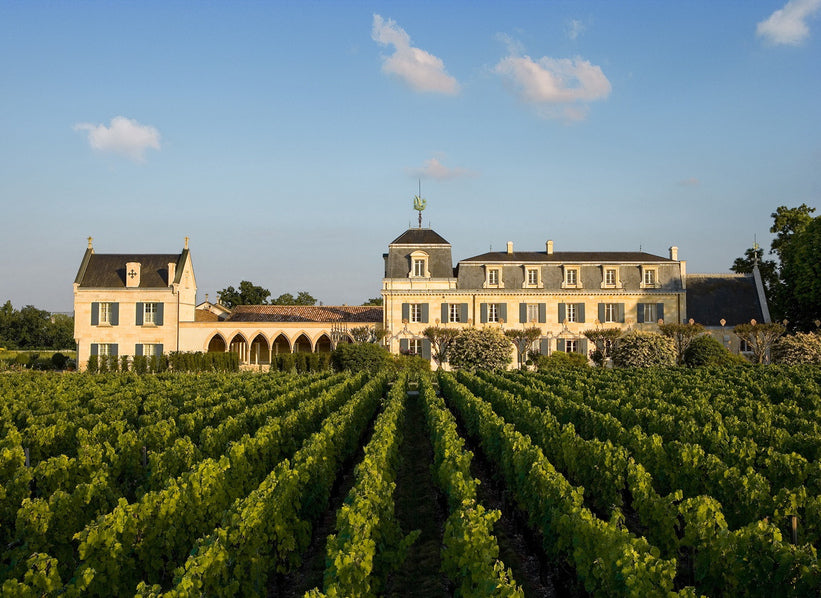 Domaine Clarence Dillon estate and vineyards in Bordeaux