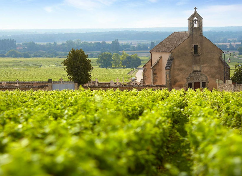 Domaine Clos de la Chapelle vineyard and chapel in Burgundy