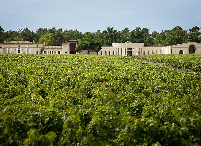 Domaine de Chevalier estate and vineyards in Pessac-Léognan