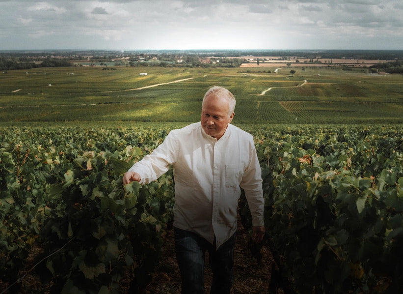 Domaine de Montille vineyard in Burgundy
