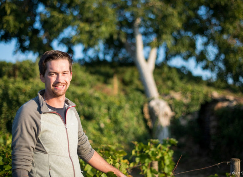Domaine Denis Bachelet vineyard in Burgundy
