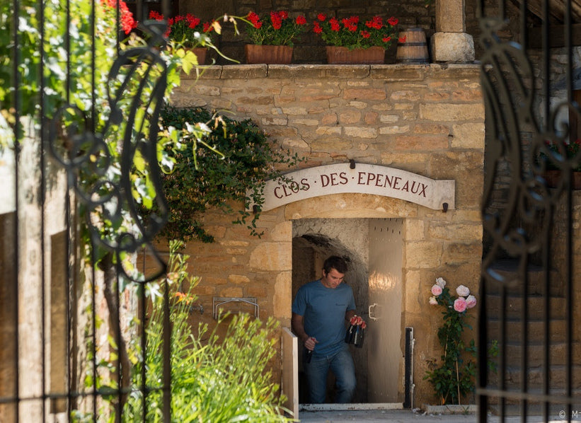 Domaine du Comte Armand at Clos des Épeneaux in Pommard