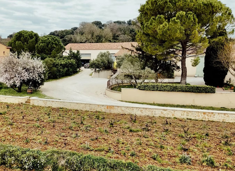 Domaine du Pégau estate and vineyard in Châteauneuf-du-Pape, France