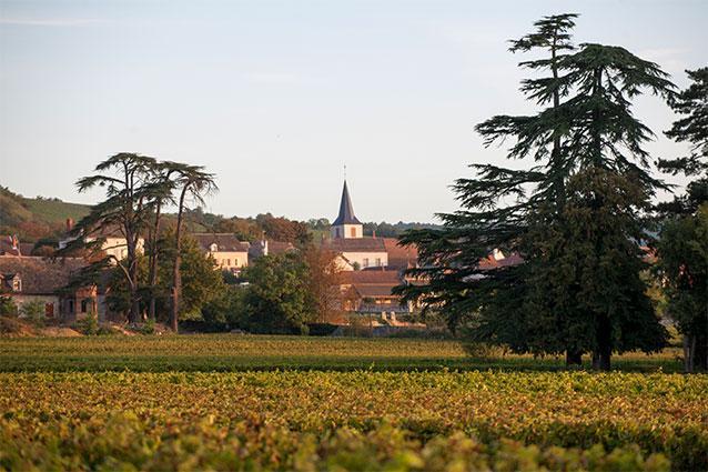 Chassagne-Montrachet vineyards associated with Domaine Gagnard-Delagrange in Burgundy — image via Winebow