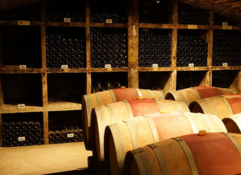 Domaine Henri Gouges cellar in Nuits-Saint-Georges, Burgundy