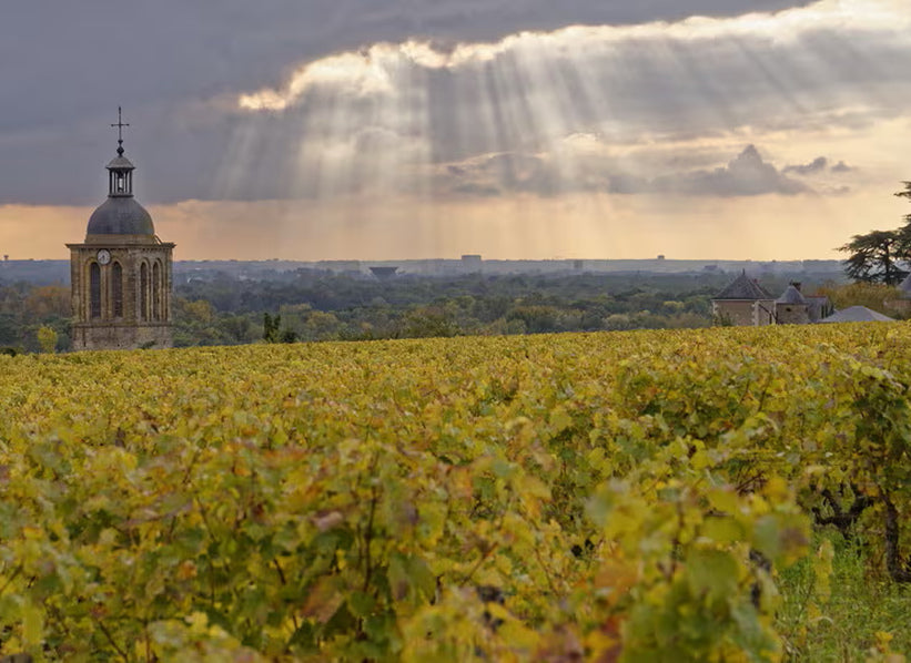 Domaine Huet vineyards in Vouvray, Loire Valley