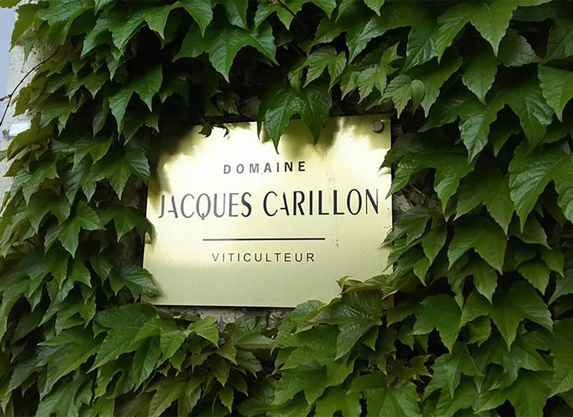 Domaine Jacques Carillon sign in Puligny-Montrachet, Burgundy