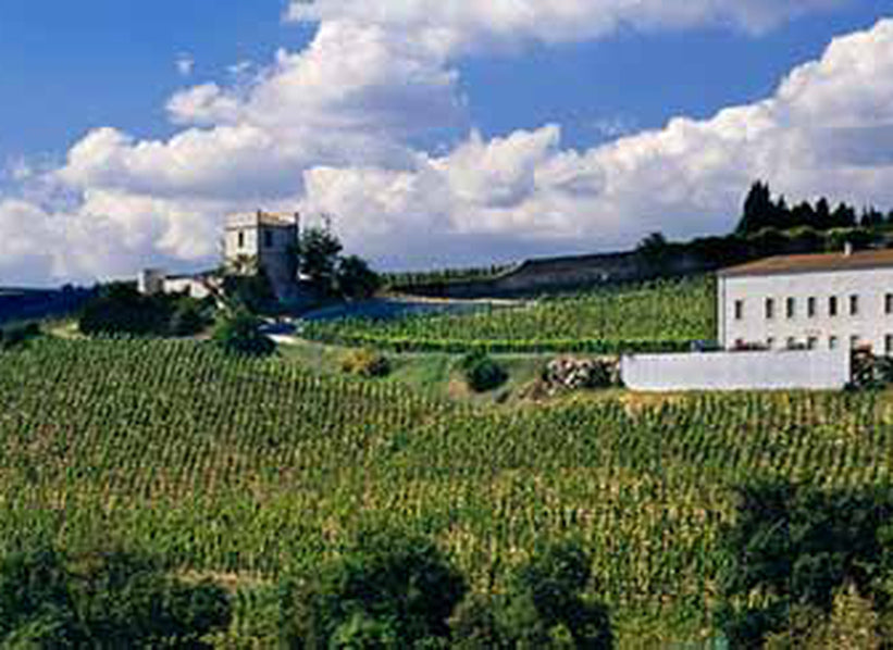 Domaine Jean-Louis Chave vineyards in Hermitage, Northern Rhône