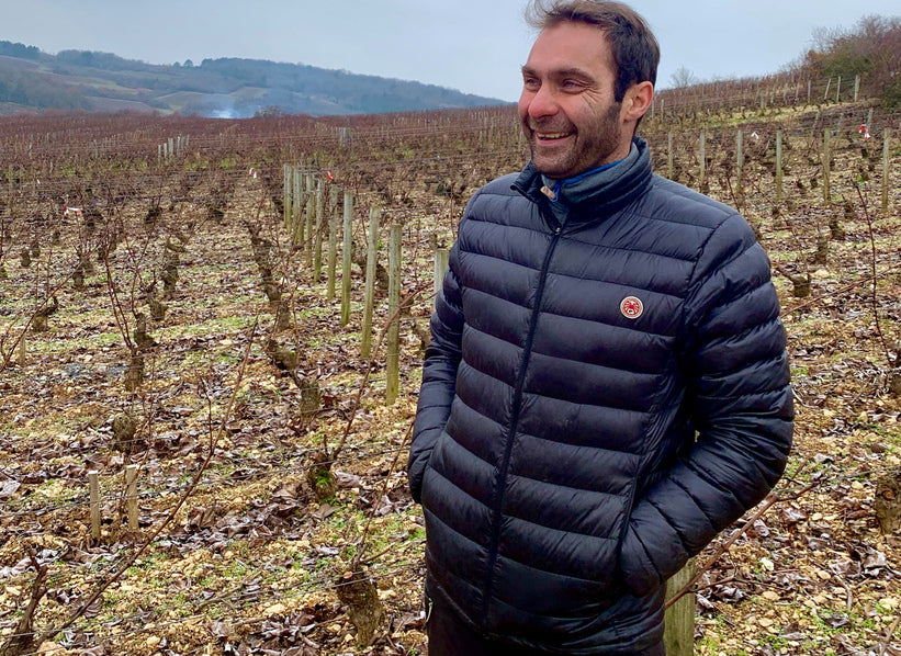Domaine Joseph Colin in the vineyards of Burgundy