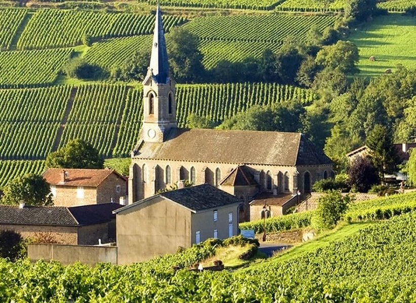 Domaine Latour-Giraud vineyards in Meursault, Burgundy