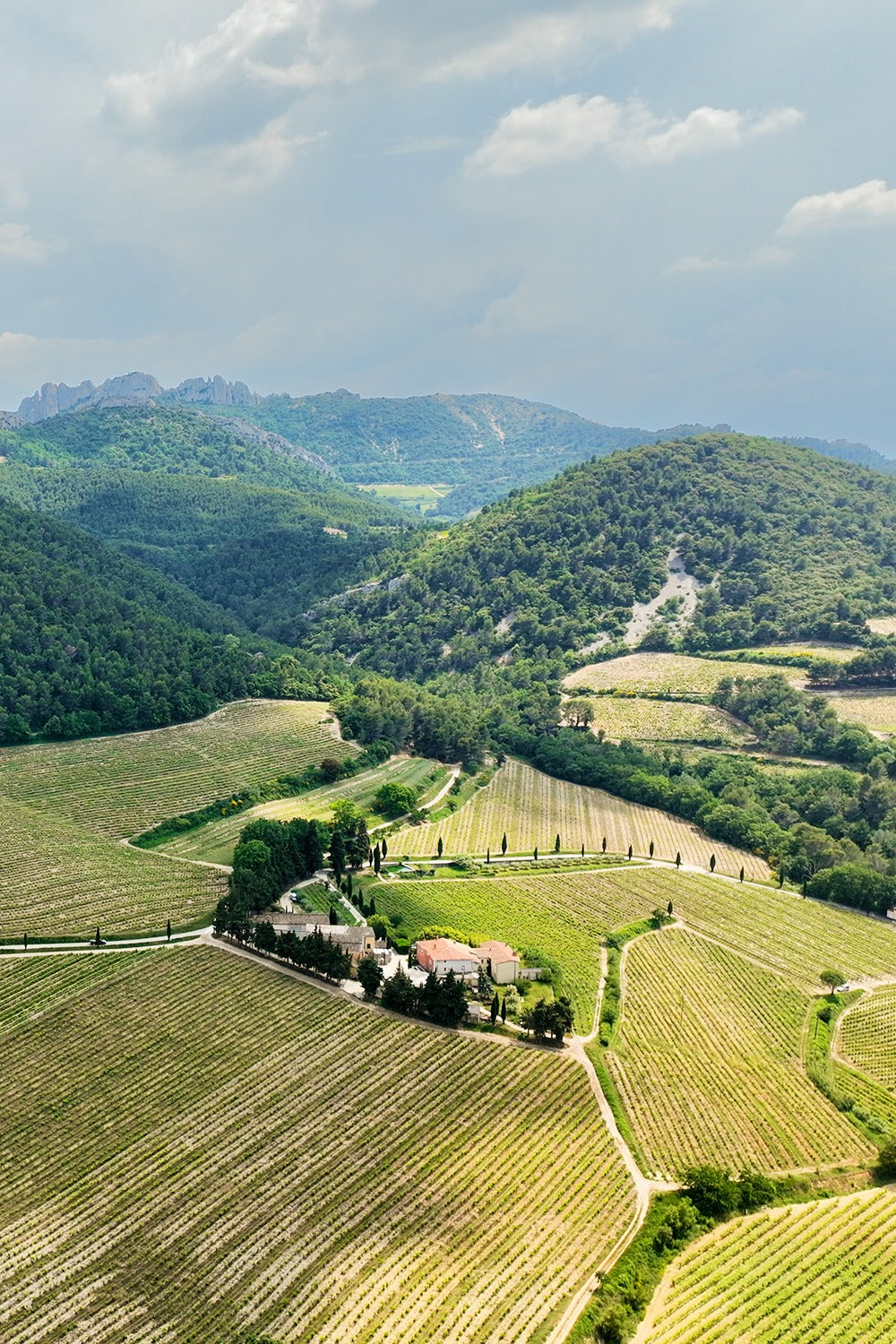 Domaine Les Pallières vineyards and estate in Gigondas, Southern Rhône — photo by Jimmy Hayes via Kermit Lynch Wine Merchant