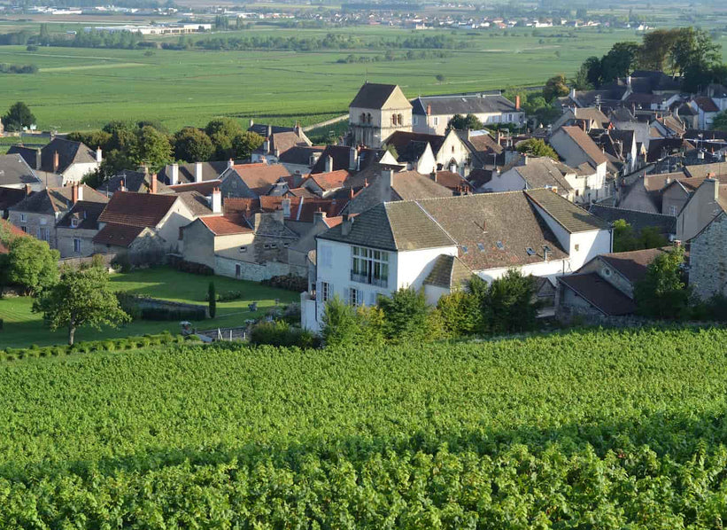 Domaine Marquis d'Angerville vineyards in Volnay, Burgundy