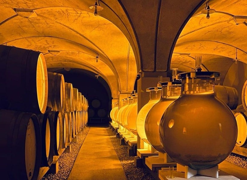 Domaine Michelot cellar in Meursault, Burgundy
