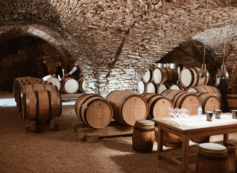 Domaine Morey-Coffinet cellar in Burgundy