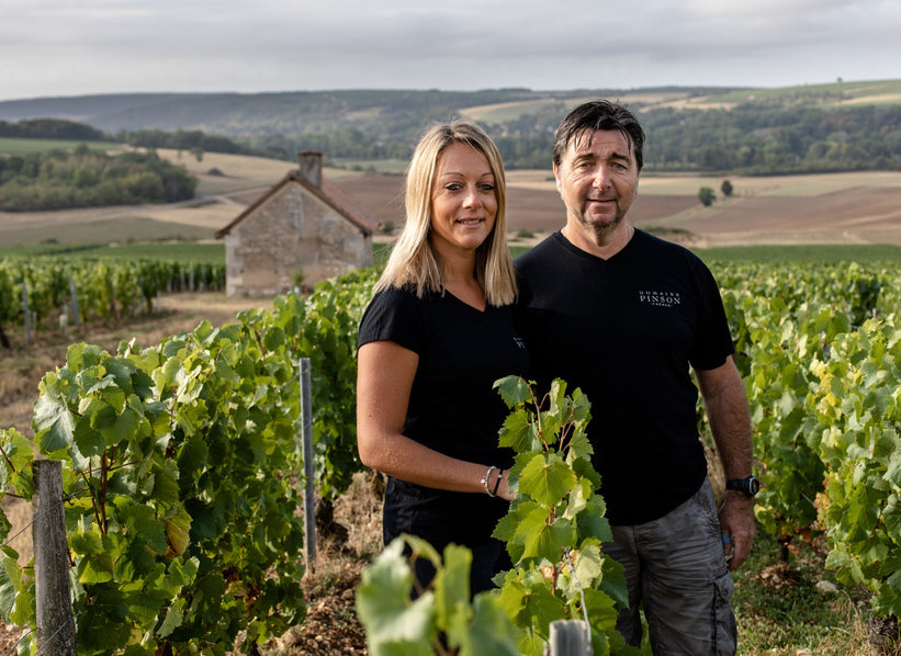 Domaine Pinson in the Chablis vineyards