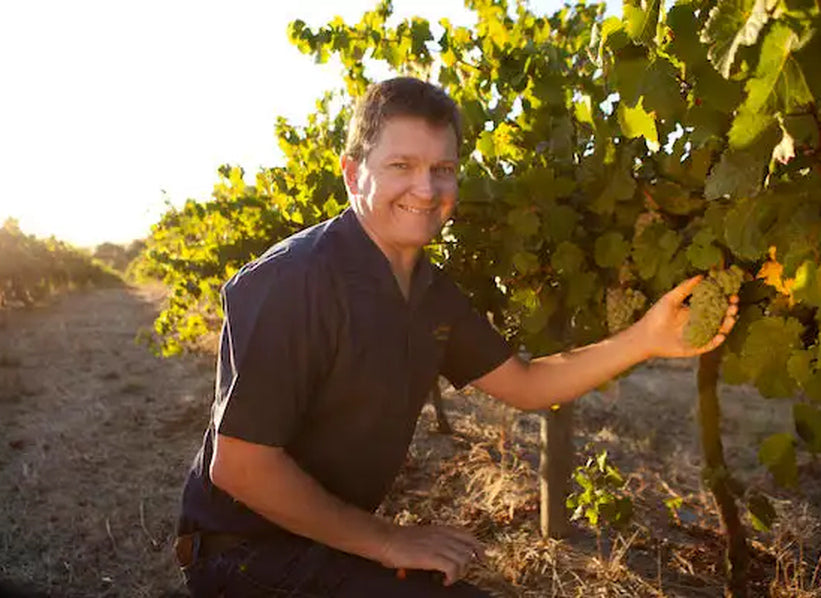 Domaine Séguinot-Bordet in the vineyard