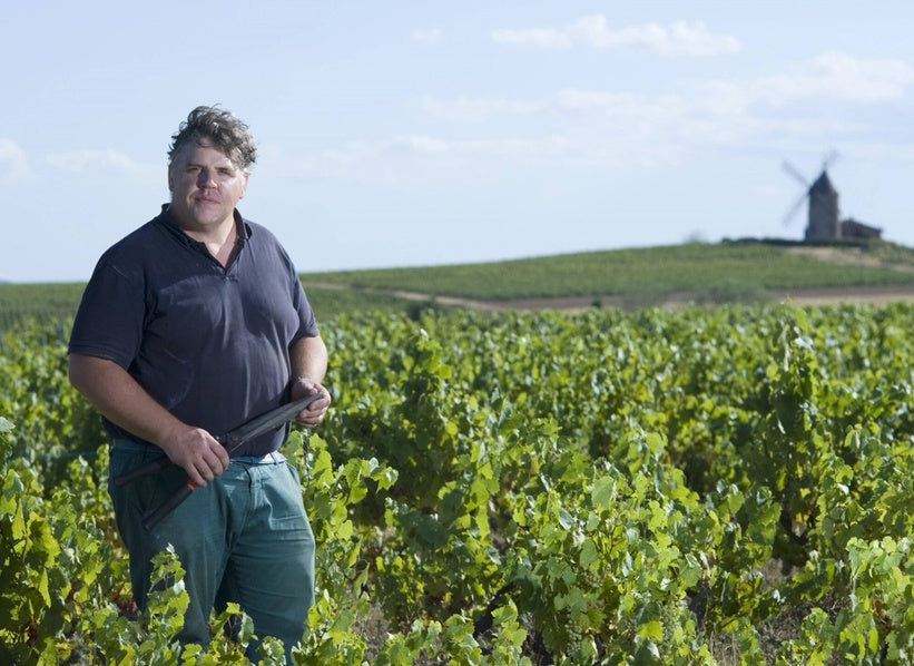 Domaine Thibault Liger-Belair
