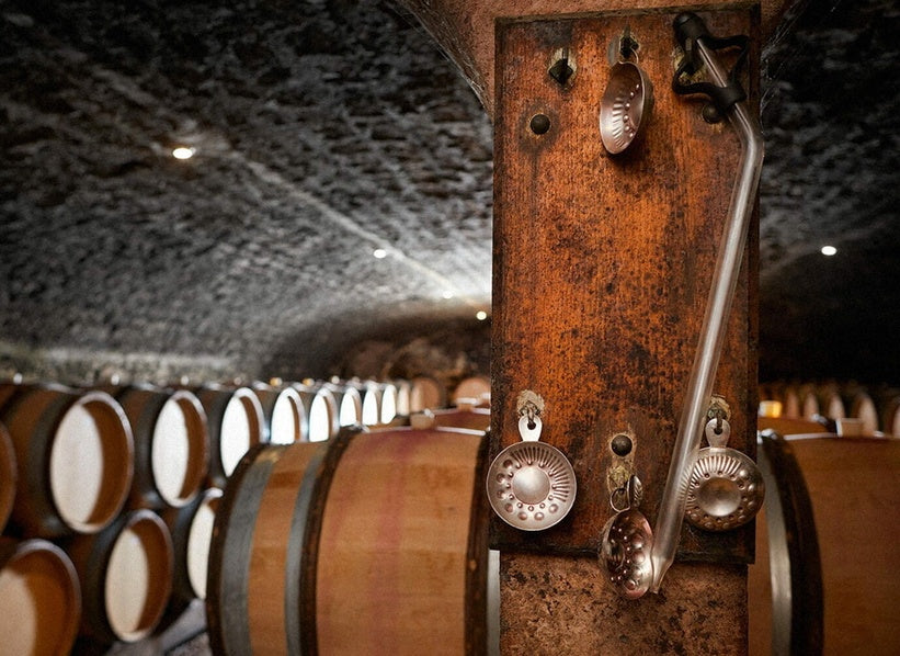 Domaine Trapet Père & Fils