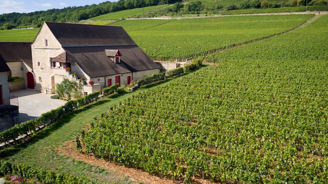 Domaine Vincent Dauvissat estate and vineyards in Chablis — photograph via En Primeur Club