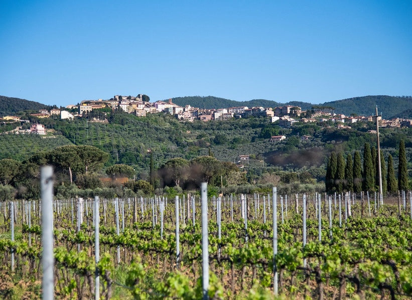 Fornacelle vineyards overlooking the village of Bolgheri