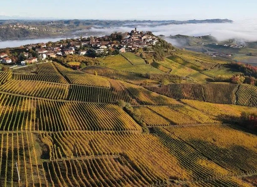 Vineyards and hilltop village in Verduno, Piedmont