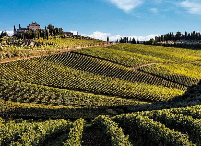 Frescobaldi Tuscan hillside vineyard landscape