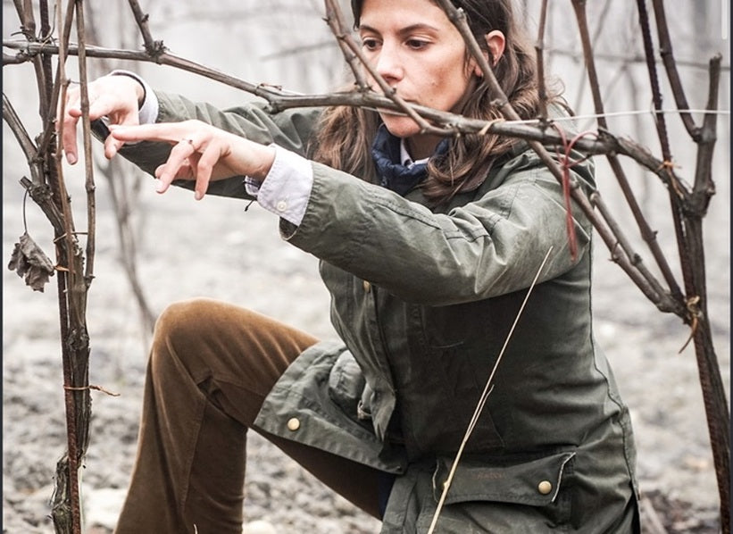 Giulia Negri tending vines in a vineyard; photograph sourced from Kermit Lynch Wine Merchant