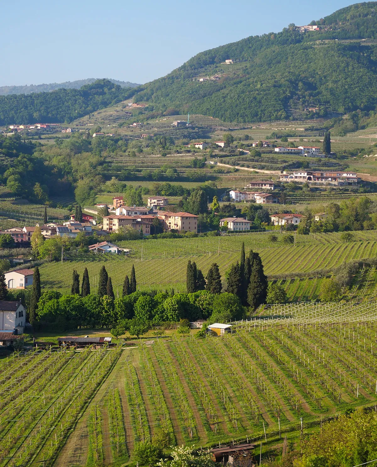 View of the Giuseppe Quintarelli estate above Negrar, Valpolicella — photo via Kermit Lynch Wine Merchant