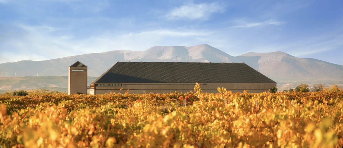 Bodegas Guelbenzu at Finca La Lombana in Vierlas, Ribera del Queiles, Spain