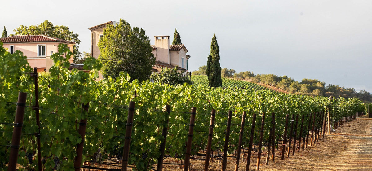 Harlan Estate vineyard and estate house in Oakville, Napa Valley — photograph via En Primeur Club