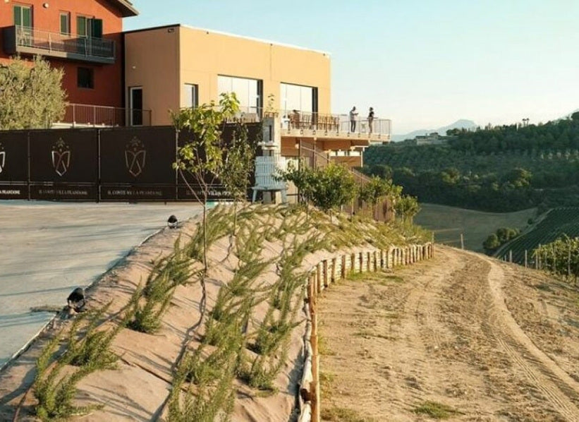 Il Conte Villa Prandone winery overlooking hillside vineyards in Marche Italy