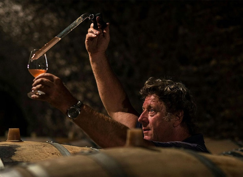 Jacques Selosse Champagne cellar, wine tasting and barrels