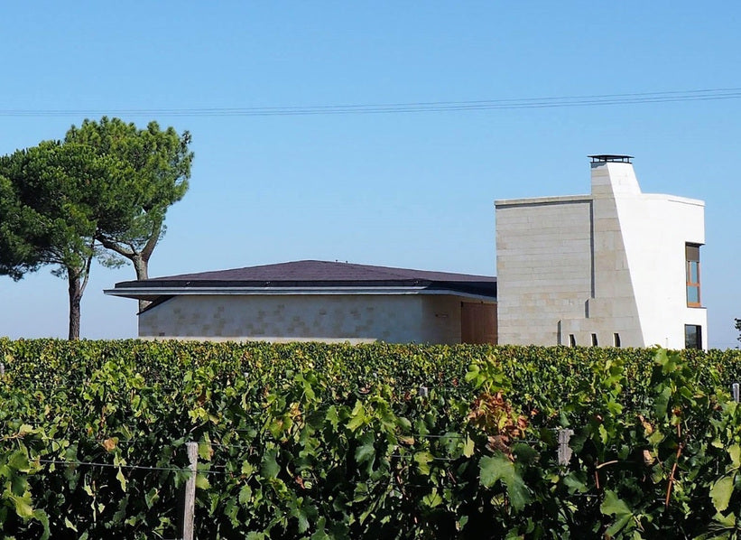 L'If winery building among vineyards in Saint-Émilion Bordeaux