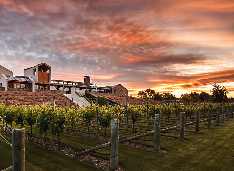 Wither Hills winery building and vineyard at sunset in Marlborough, New Zealand