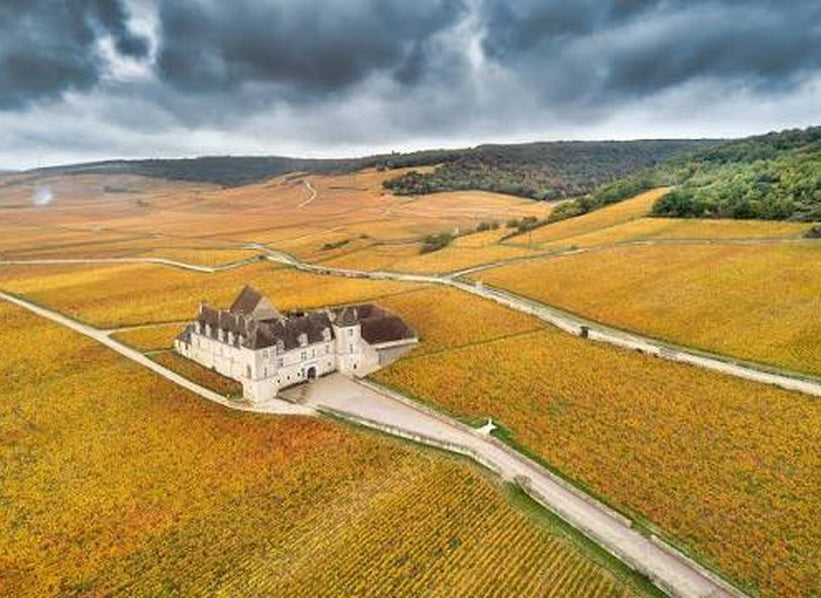 Aerial vineyard landscape and historic building in Burgundy, Maison Joseph Drouhin